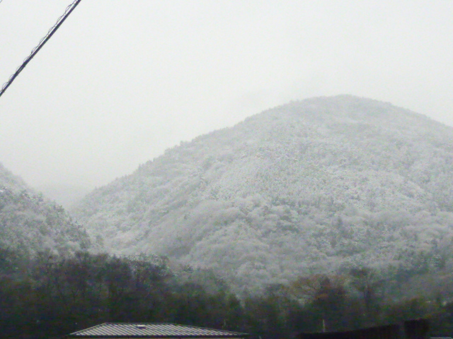 d0178017_09503640.jpg