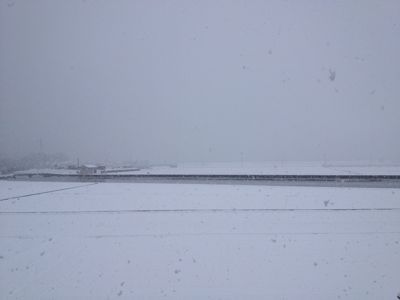 c0259832_2065750.jpg
