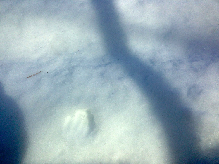 d0013834_2365068.jpg