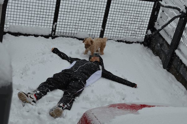 c0136736_18131524.gif