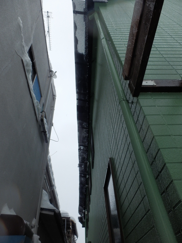 d0151144_859257.jpg