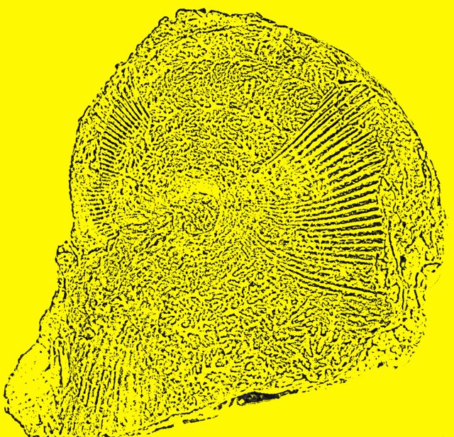 e0290546_14103437.jpg