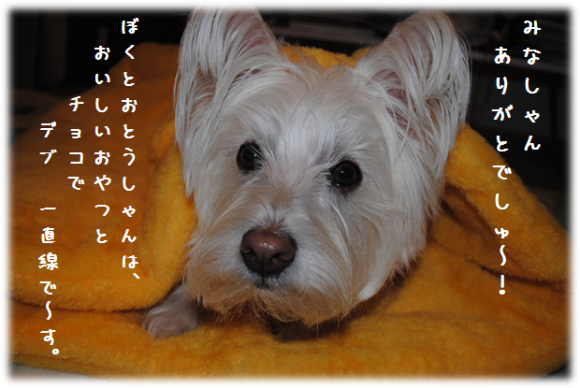 b0242873_23453847.png
