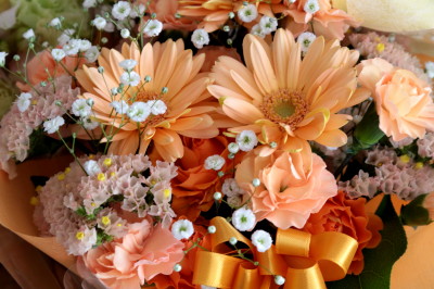 f0037378_1554818.jpg