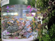 a0142083_2151142.jpg