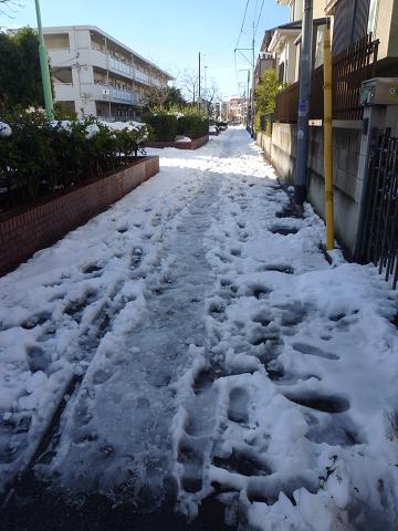 c0123890_20142151.jpg