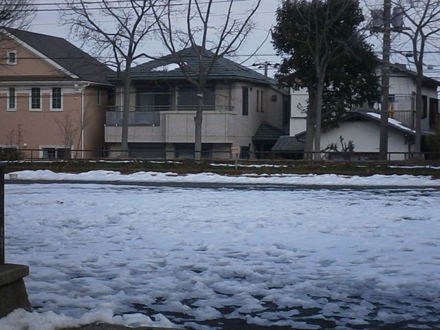 f0130894_227017.jpg