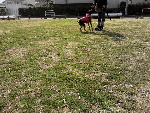 c0292098_22183813.jpg