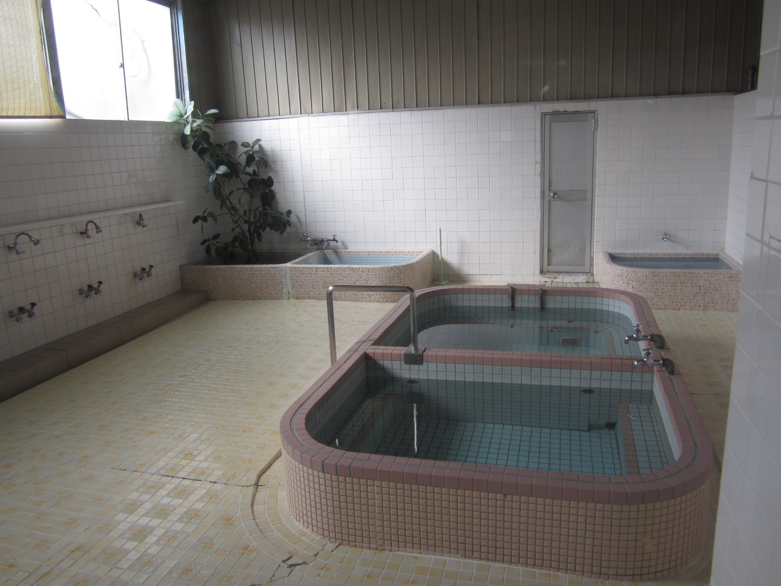 f0013998_556321.jpg