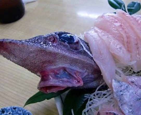 b0301400_18520951.jpg