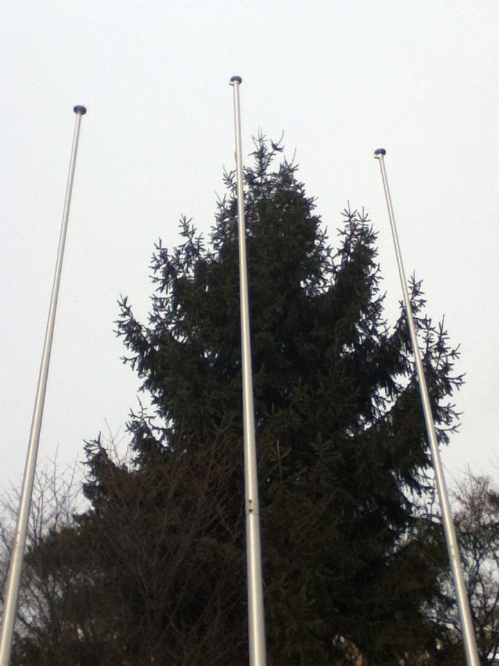 e0322201_1361457.jpg