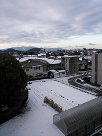 c0039504_9504731.jpg
