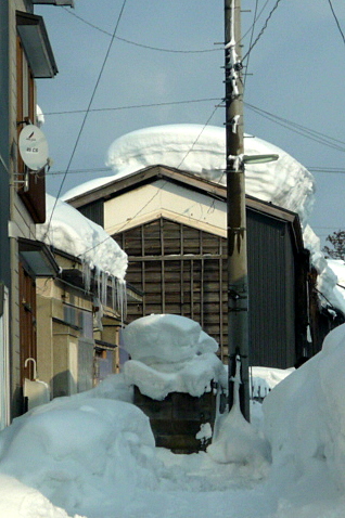a0214206_1337389.jpg