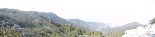 d0170615_17142315.jpg