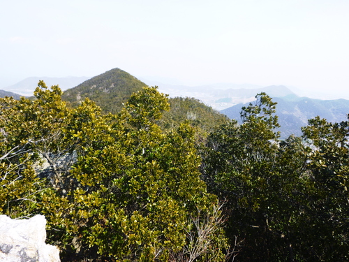 d0170615_17145263.jpg
