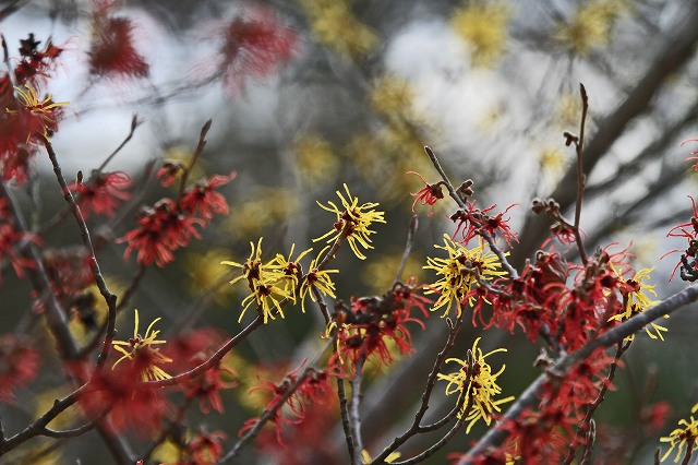 a0242438_2035415.jpg