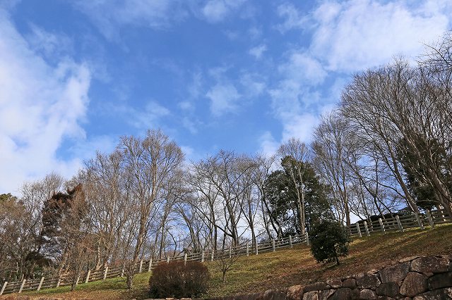 a0242438_20365825.jpg