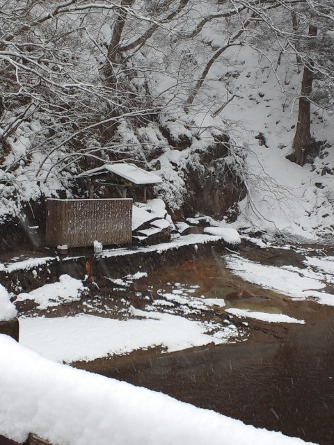 f0057765_20535718.jpg