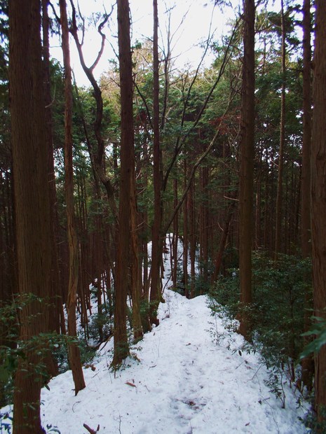 c0019376_2103956.jpg