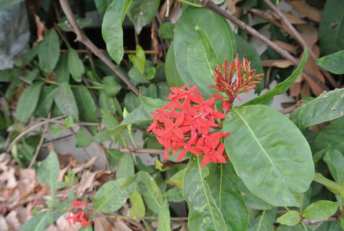 a0002177_13584563.jpg