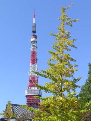 f0211178_1716117.jpg