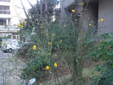 a0247585_81218.jpg