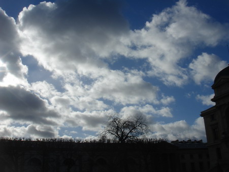 a0247585_826320.jpg