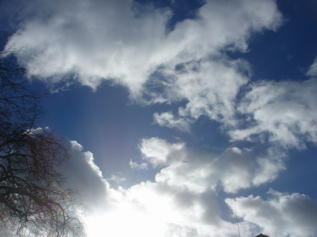 a0247585_8263226.jpg