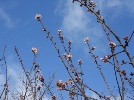 a0247585_845981.jpg