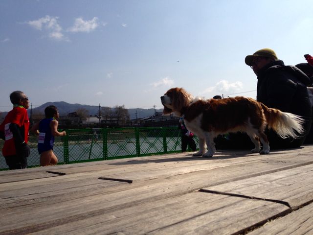 a0079292_20372650.jpg