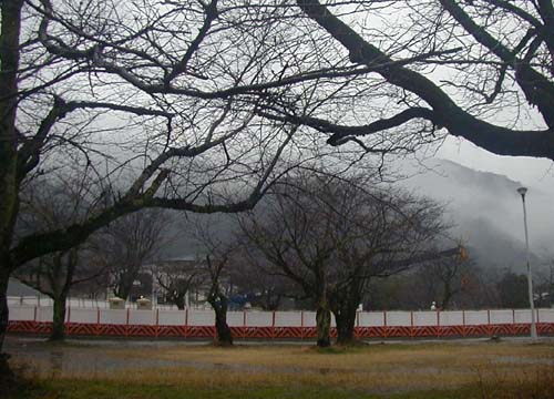 d0053294_0275867.jpg
