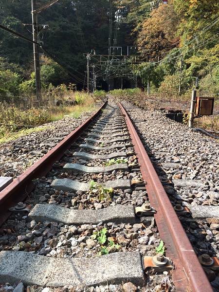 e0320808_21344719.jpg