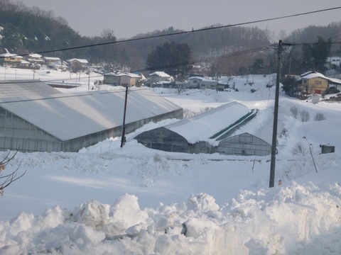 e0120932_13719.jpg