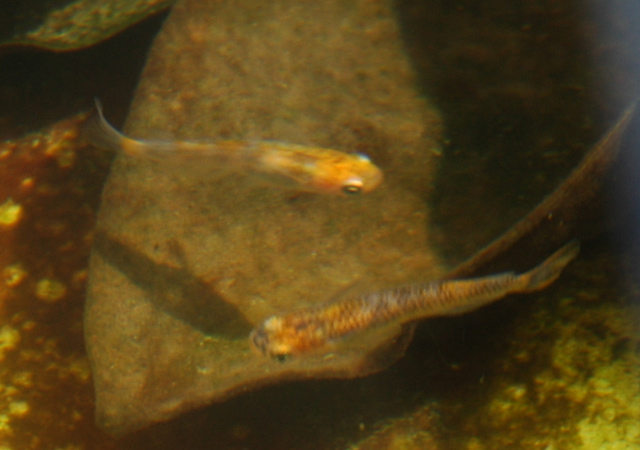 e0097534_14242015.jpg