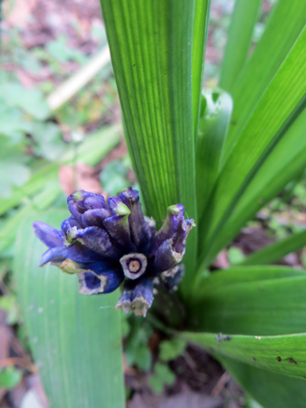 f0234936_7135668.jpg