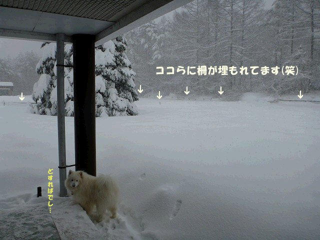 e0176159_15432161.jpg