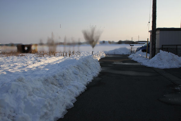 f0297764_1950956.jpg
