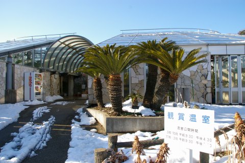 e0045768_22192651.jpg