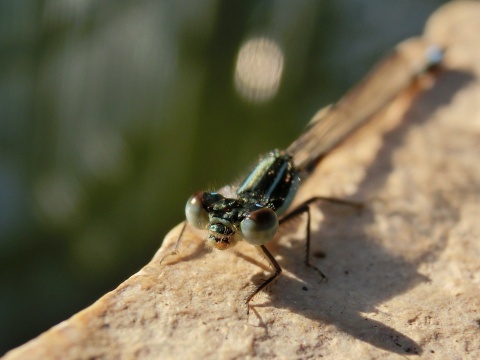 e0045768_2226298.jpg
