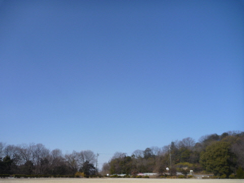 e0161972_822329.jpg