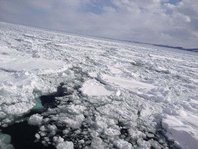 f0223972_23262090.jpg