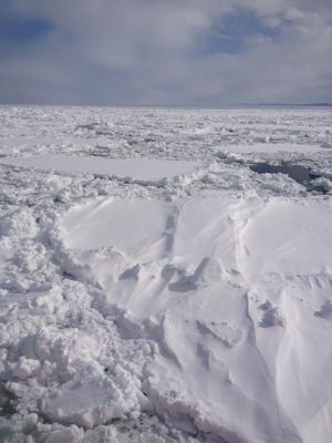 f0223972_23262270.jpg