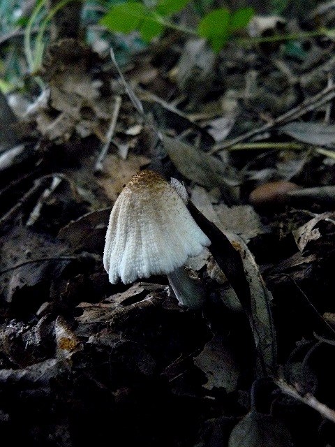 d0019074_9384065.jpg
