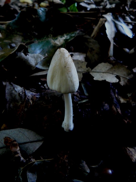 d0019074_93874.jpg