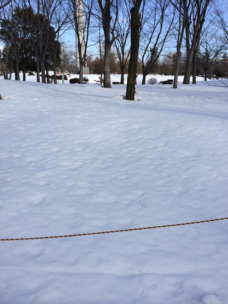 c0283778_14393326.jpg