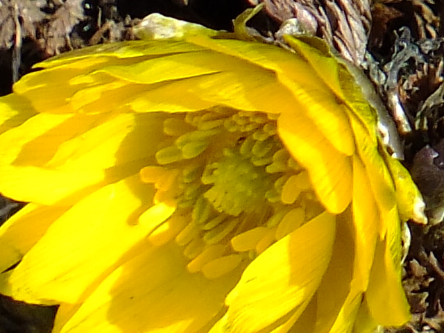 e0145782_17573184.jpg
