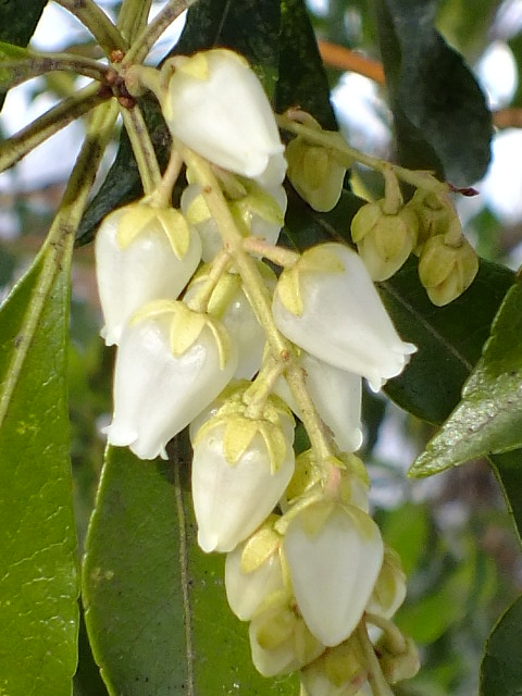 e0145782_1845485.jpg