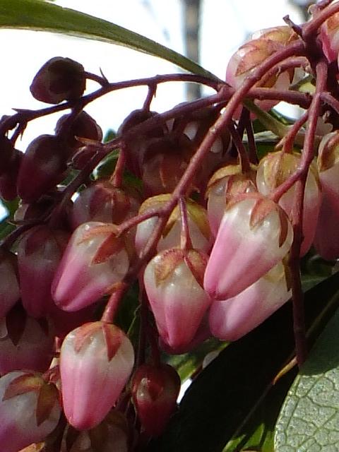 e0145782_185287.jpg