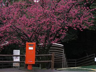 e0130185_21151689.jpg