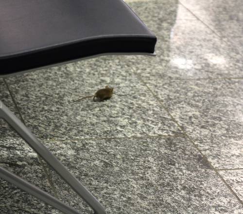 b0142688_22115138.jpg